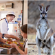 Illustration for article titled Nebraska school district apologizes for serving students “exotic” kangaroo-meat chiliem/em